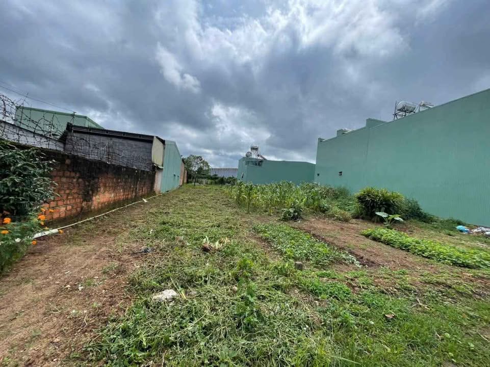 Đất nền Hẻm Hải Thượng Lãn Ông, Pleiku 125m² giá 1.2 tỷ - Sổ đỏ chính chủ