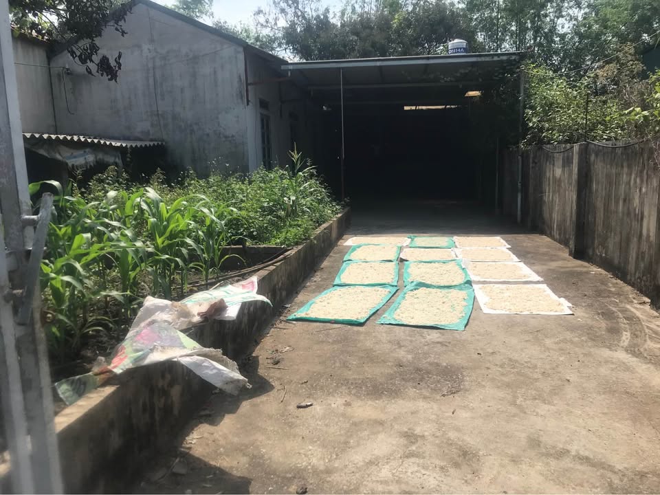 Đất mặt đường bê tông 303,4m² tại Phường Mường Thanh - Giá chỉ 1,1 tỷ VND!