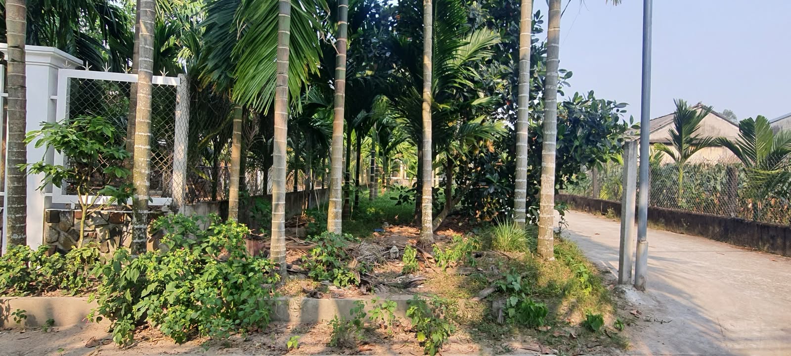 Đất thổ cư Nghĩa Thuận 125m² giá 480 triệu - Lô góc tiện lợi cho đầu tư!