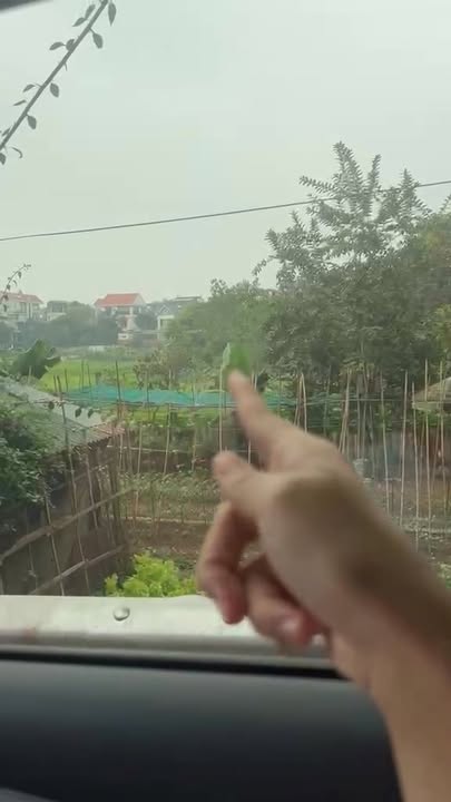 Đất ruộng Minh Nông 340m² giá chỉ 340 triệu - Cơ hội đầu tư hấp dẫn!