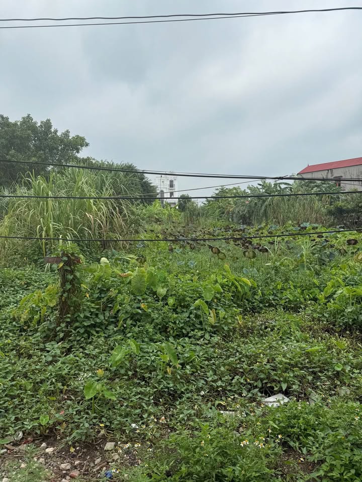 Đất thổ cư Gia Thịnh Gia Viễn 80m² giá chỉ 9xx triệu - Cơ hội đầu tư hấp dẫn!