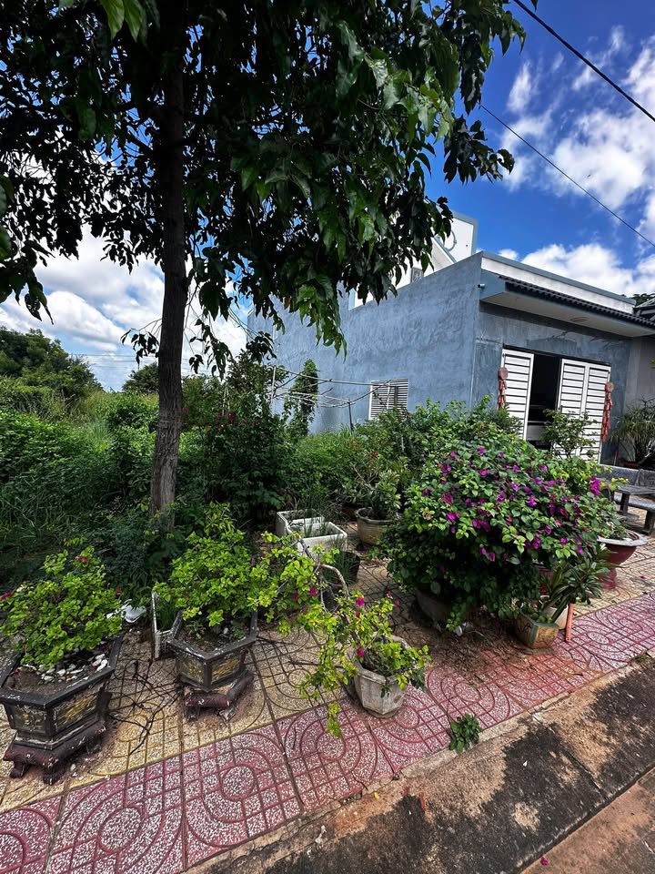 Đất Khu Tái Định Cư Phú Long, 100m² giá 1.3 tỷ - Đầu tư sinh lời ngay!