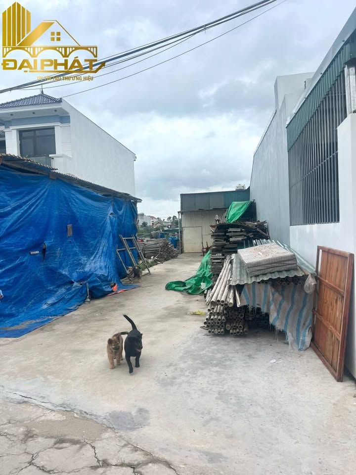 Đất nền khu 5 Hải Yên Móng Cái 150m² - Ô tô vào tận nơi, hướng Đông Nam!