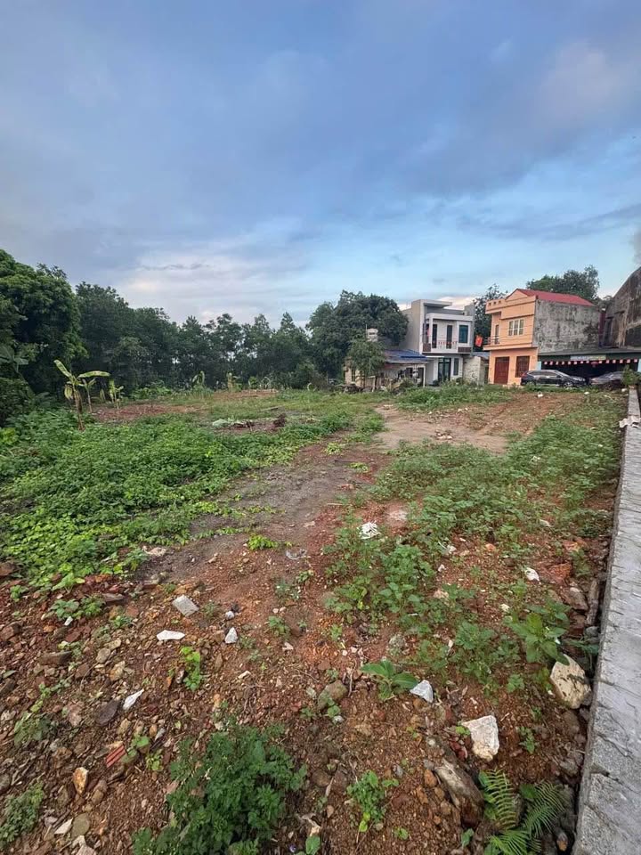 Đất nền 600m² tại phường Quan Triều - Giá chỉ 3.2 tỷ, hướng Đông