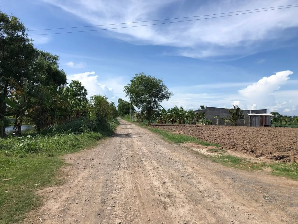 Đất nền mặt tiền kênh 3, Tân Thành, 50000m² giá 1.5 tỷ - Cơ hội đầu tư sinh lời!