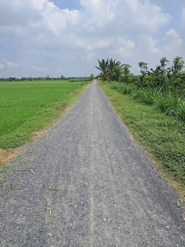 Đất nông nghiệp Gò Công Tây 2090m² giá 600 triệu - Đường xe hơi thuận tiện!