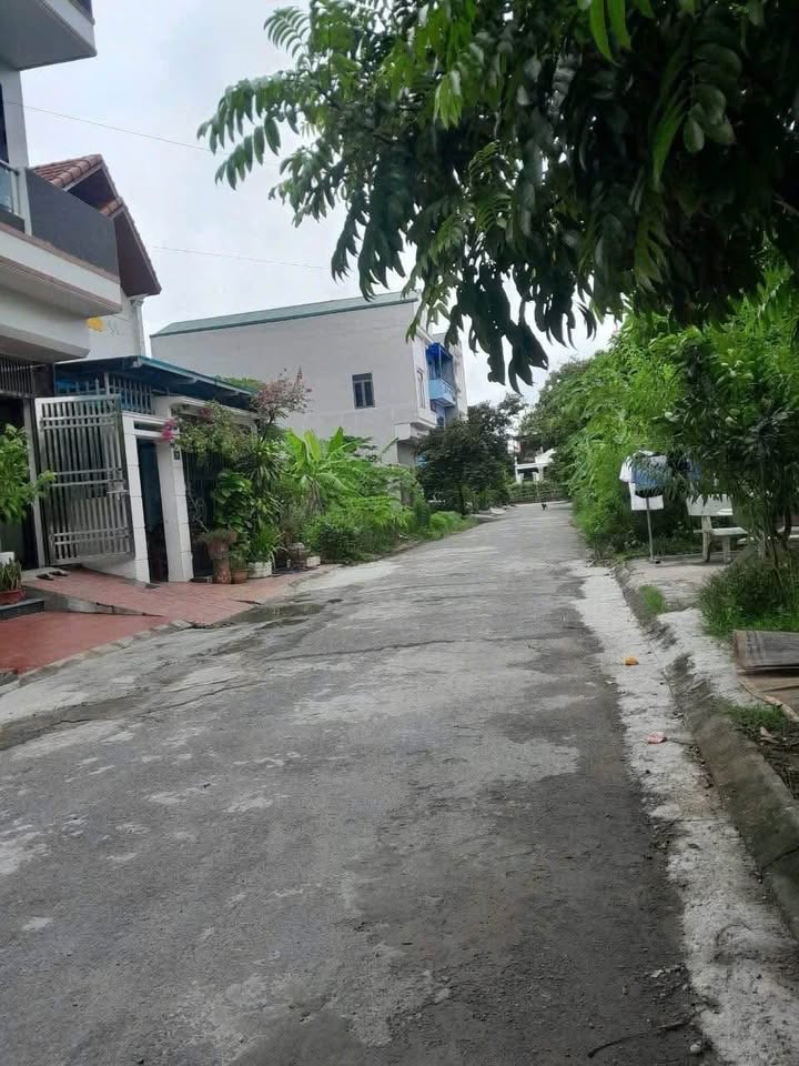 Đất nền chính chủ tại Ngõ 51 Trần Quang Khải 100m² - Đường ô tô tránh nhau!