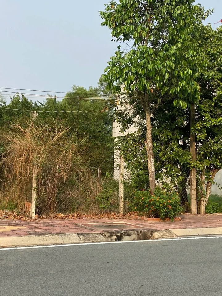 Đất nền mặt tiền đường DX124 Tân An 127m² giá chỉ 1.7 tỷ - Cơ hội đầu tư tuyệt vời!