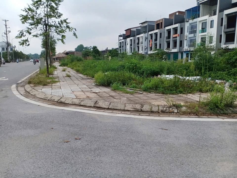 Đất nền góc 2 mặt tiền Vũ Thê Lang, Phú Thọ 349m² - Kinh doanh đắc địa!