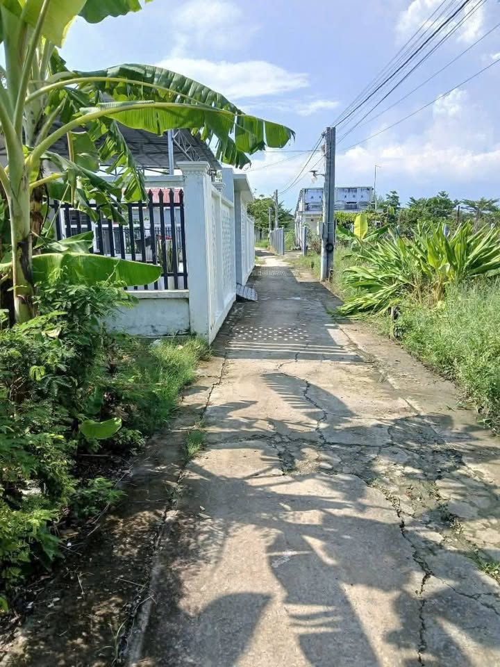 Đất chính chủ ấp Sơn Quy B, xã Tân Trung, 159m² - Giá 850 triệu thương lượng!