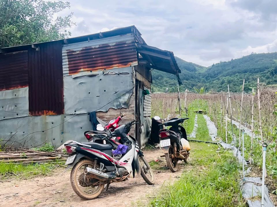 Đất nền thị trấn Liên Nghĩa, Đức Trọng 7000m² giá 7 tỷ - Cơ hội đầu tư tuyệt vời!