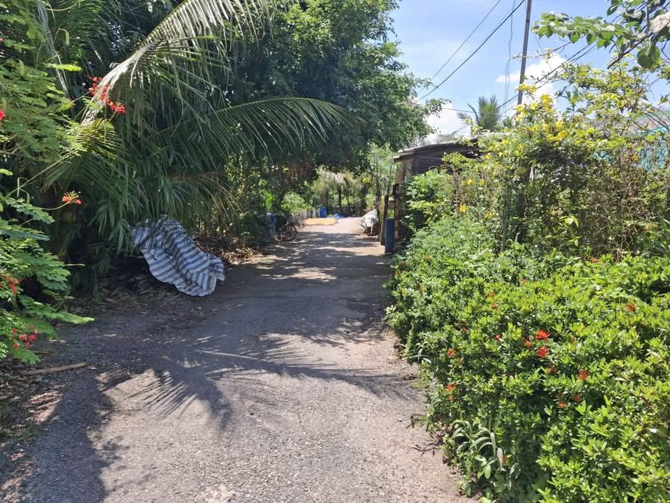 Đất nền Ấp 6, Tân Bình, 130m² giá 380 triệu - VIEW KÊNH tuyệt đẹp!