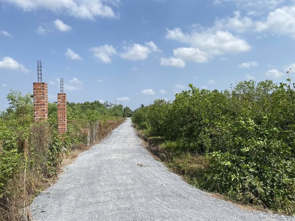 Đất vườn 1050m² tại ấp 4 Bình Đức - Chính chủ, giá 810 triệu, thuận tiện đầu tư!