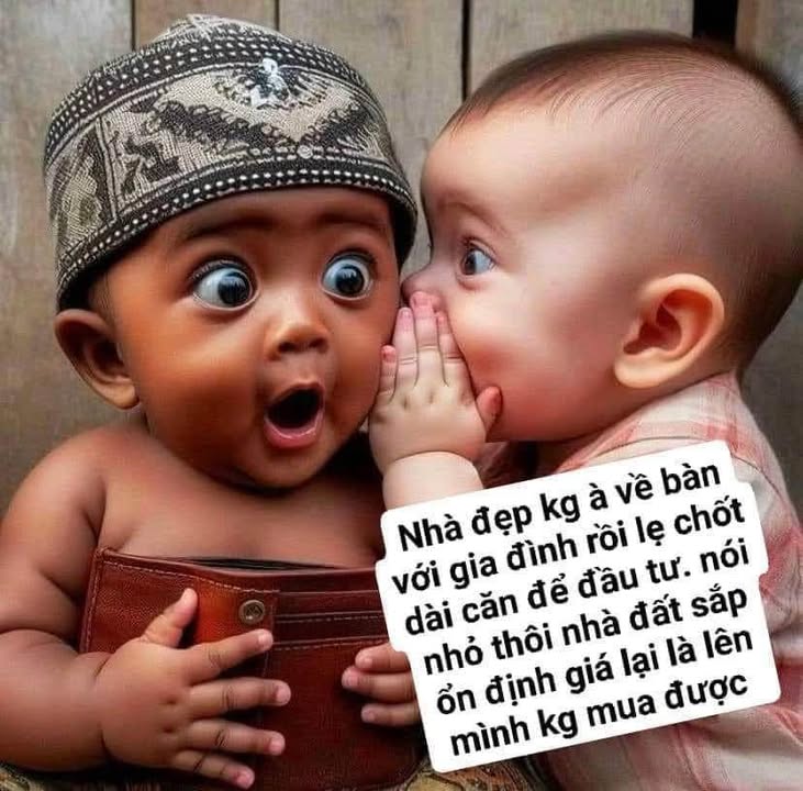 Đất nền Dương Quảng Hàm, Bình Thạnh 220m² giá 18.5 tỷ - Cơ hội đầu tư tuyệt vời!