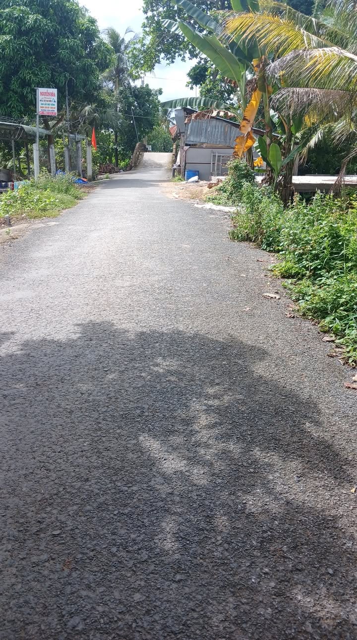 Đất vườn 4,5 công tại Phú Điền, Đồng Tháp chỉ 350 triệu - Cơ hội đầu tư tuyệt vời!