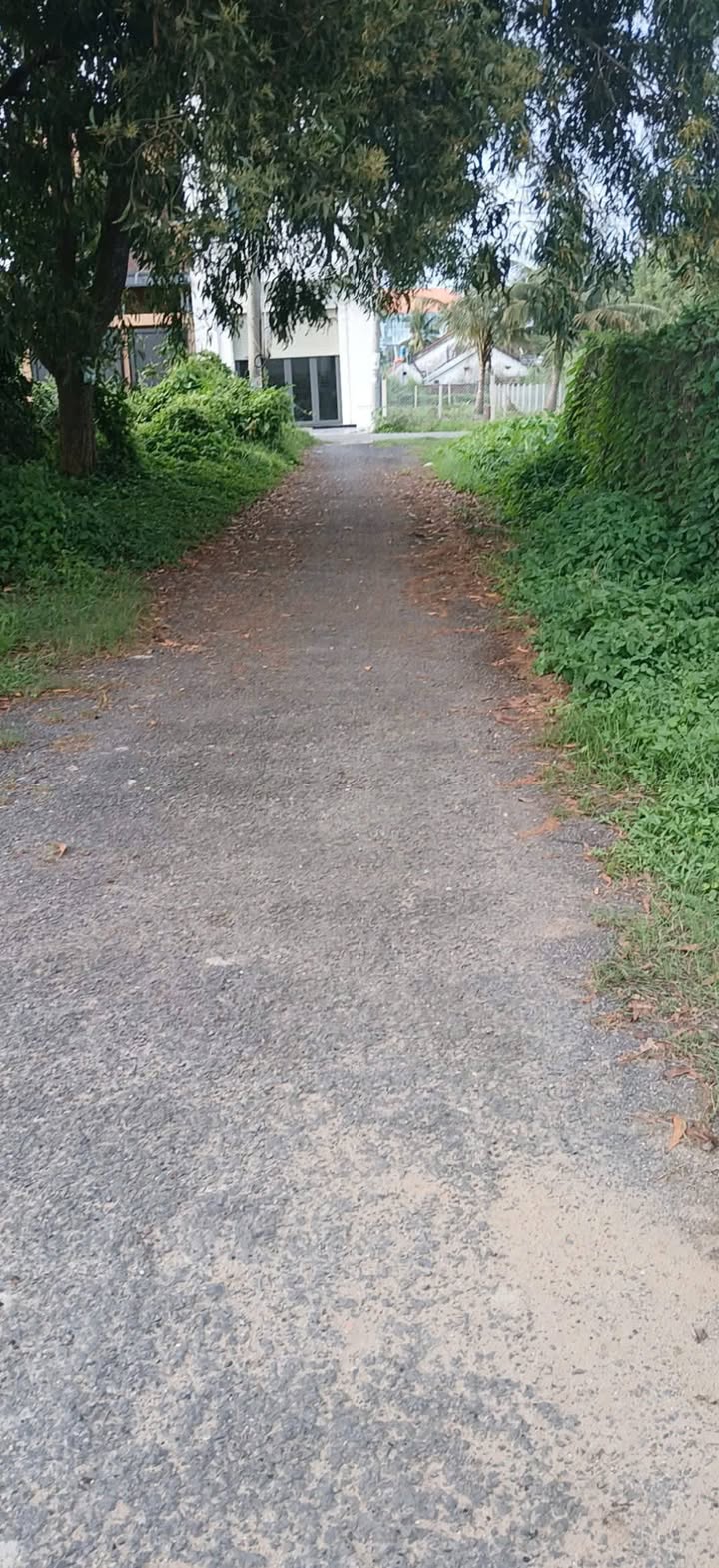 Đất nền thổ cư phường Long Châu, Vĩnh Long 97m² - Giá chỉ 1.1 tỷ, đầu tư sinh lời!