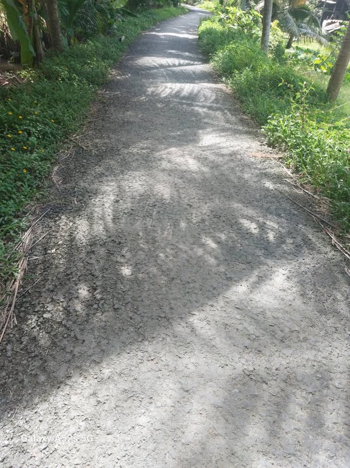 Đất thổ cư xã Bình Phước, Mang Thít 125m² giá 295 triệu - Cơ hội đầu tư tuyệt vời!