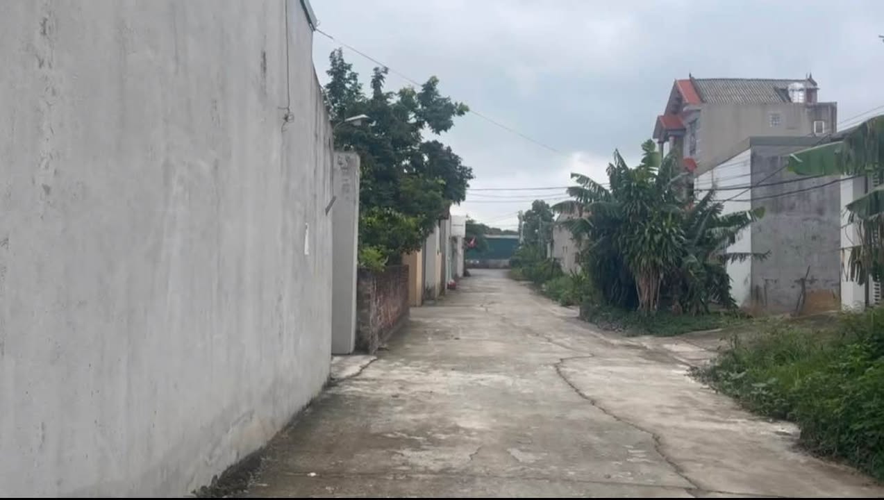 Đất nền dự án Đào Du, Mỹ Hào, Hưng Yên 100m² giá 3 tỷ - Vị trí đắc địa gần KCN