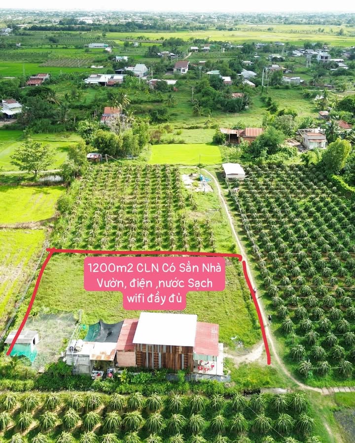 Bán đất vườn 12,600m² tại Hàm Liêm, Bình Thuận - Chỉ 650 triệu, thương lượng chính chủ!