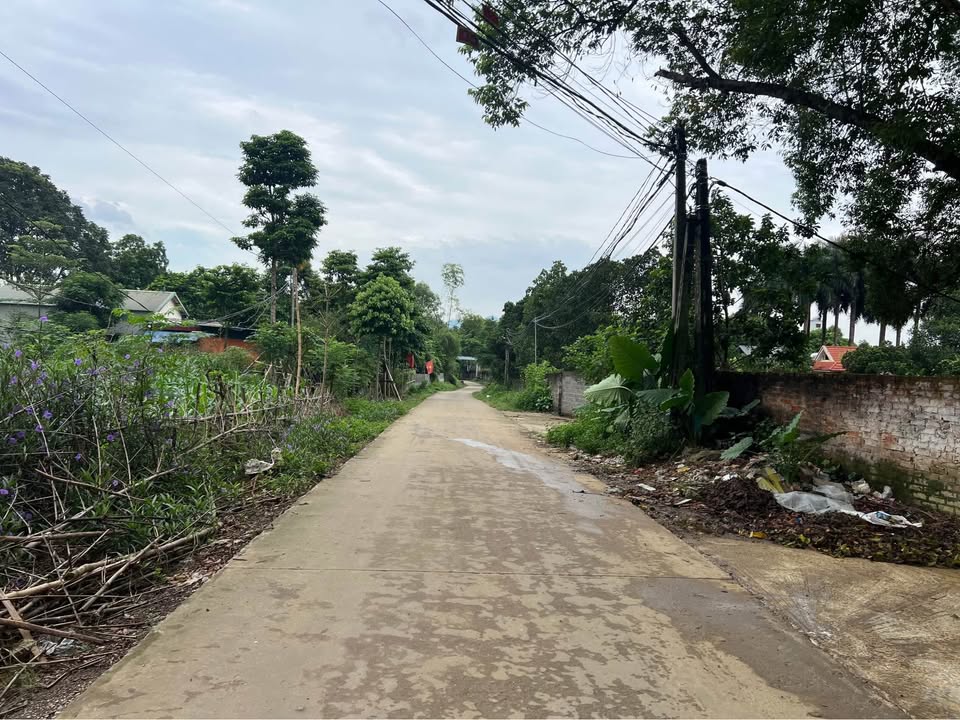 Đất nghỉ dưỡng Lương Sơn Hoà Bình 1021m² - Tiềm năng đầu tư lớn!