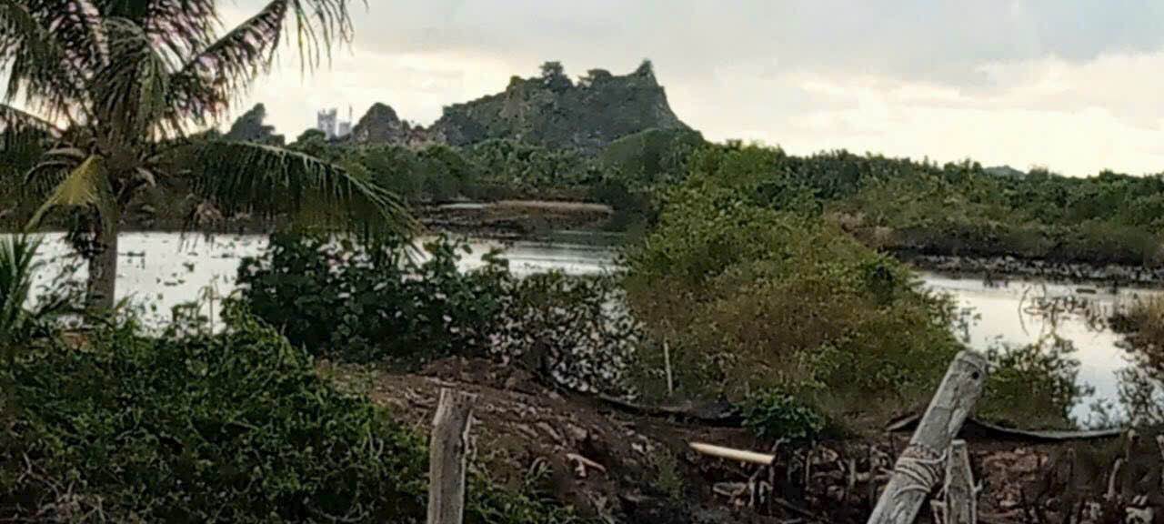 Đất nông nghiệp kênh Tam Bảng 26 công tại ấp Cờ Trắng - Giá chỉ 1.125 tỷ!