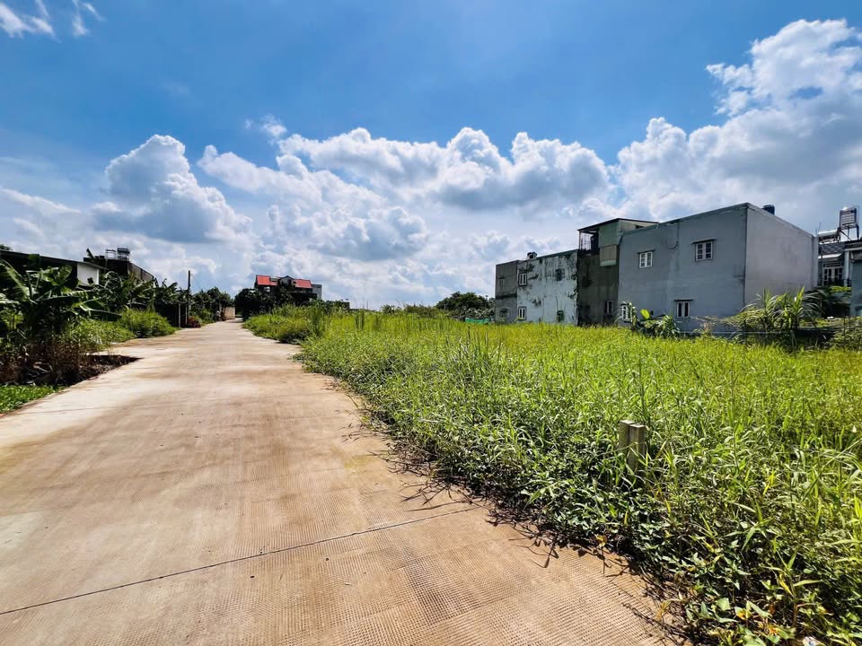 Đất nền 131m² tại xã Bình Mỹ, Củ Chi - Giá chỉ 2.1 tỷ, sổ hồng riêng!