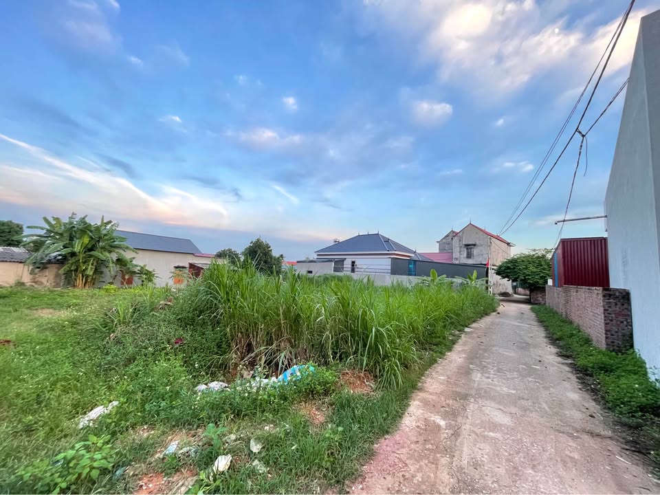 Đất thổ cư Hợp Đức 118m² giá 700 triệu - Vị trí đẹp, đầu tư sinh lời!