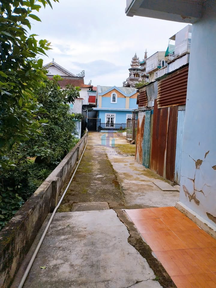 Đất nền đường Tự Phước, Phường Xuân Trường, Đà Lạt 65m² giá 1.79 tỷ - Cơ hội đầu tư sinh lời!