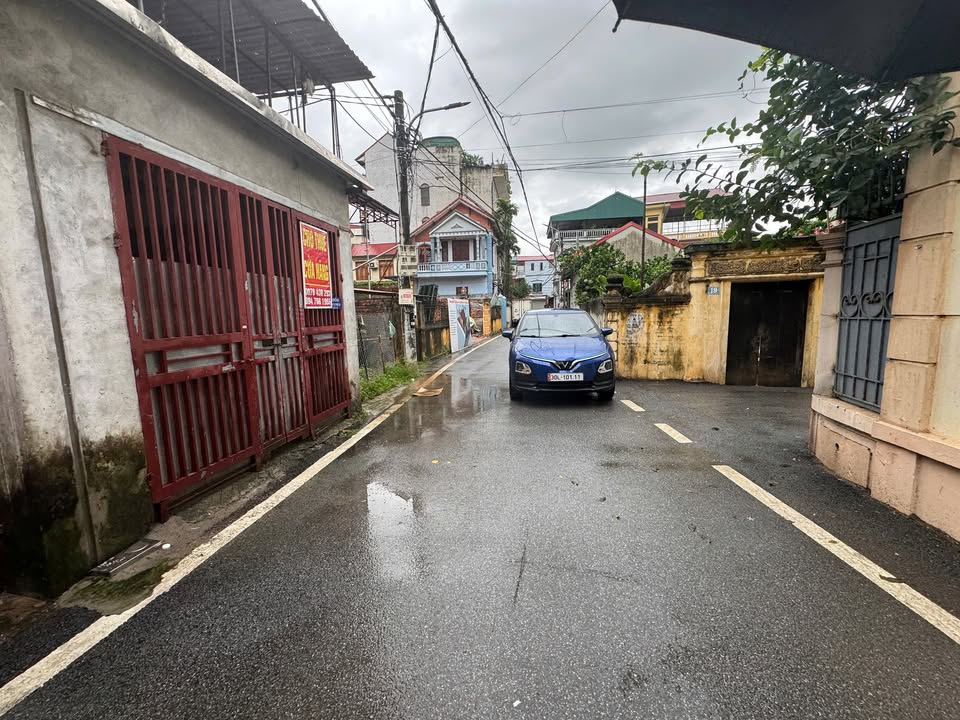 Đất nền Phố Phượng Trì, Đan Phượng 73m² giá 3.5 tỷ - Vị trí đắc địa, thuận tiện giao thông!