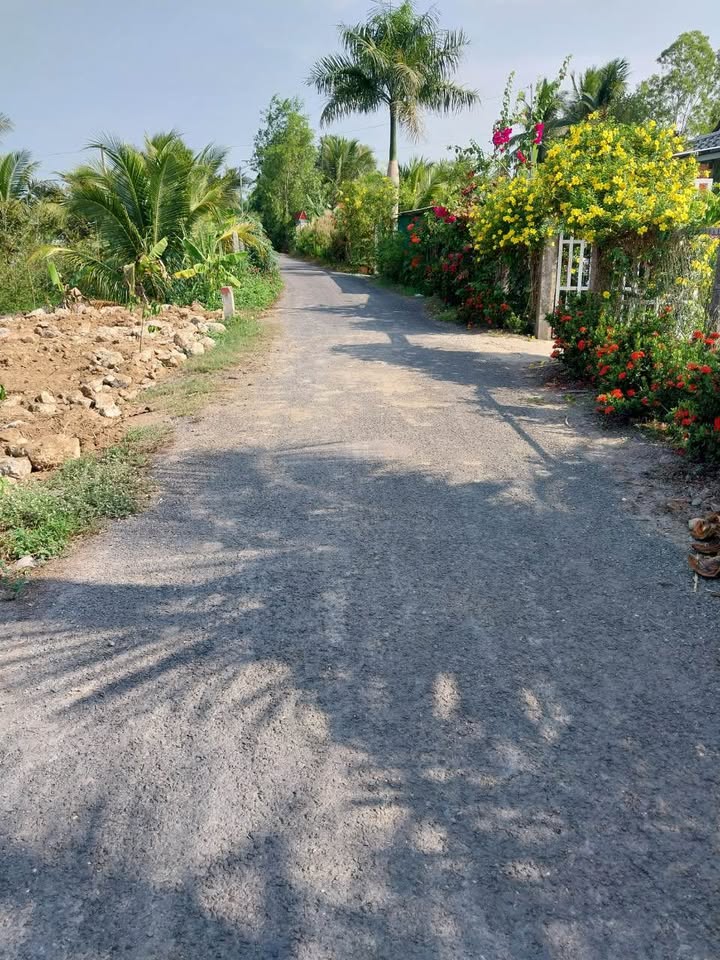 Đất nền chính chủ xã Tân Lộc, huyện Tam Bình 720m² giá 800 triệu - Tiềm năng đầu tư hấp dẫn!