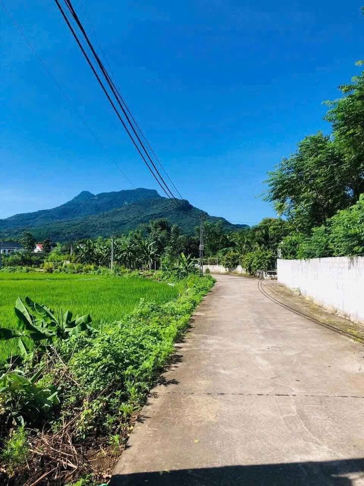 Đất nghỉ dưỡng view núi Ba Vì tại Suối Hai 1702m² - Giá tốt đầu tư!