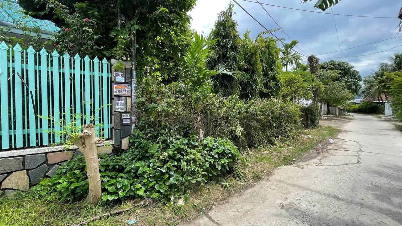 Đất dân cắt bán tại Diên Thạnh 134,8m² giá 1,617 tỷ - Đường ô tô né nhau!