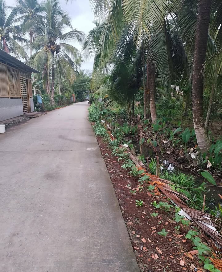 Đất nền 822m² tại ấp Tân Ngãi, Mỏ Cày Bắc, giá 800 triệu - Đầu tư sinh lời ngay!