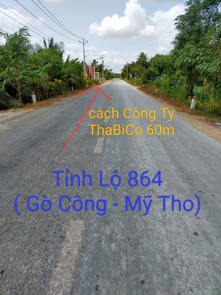 Đất nền mặt tiền Tỉnh Lộ 864, Bình Ninh, 250m² giá 900 triệu - Đầu tư sinh lời ngay!