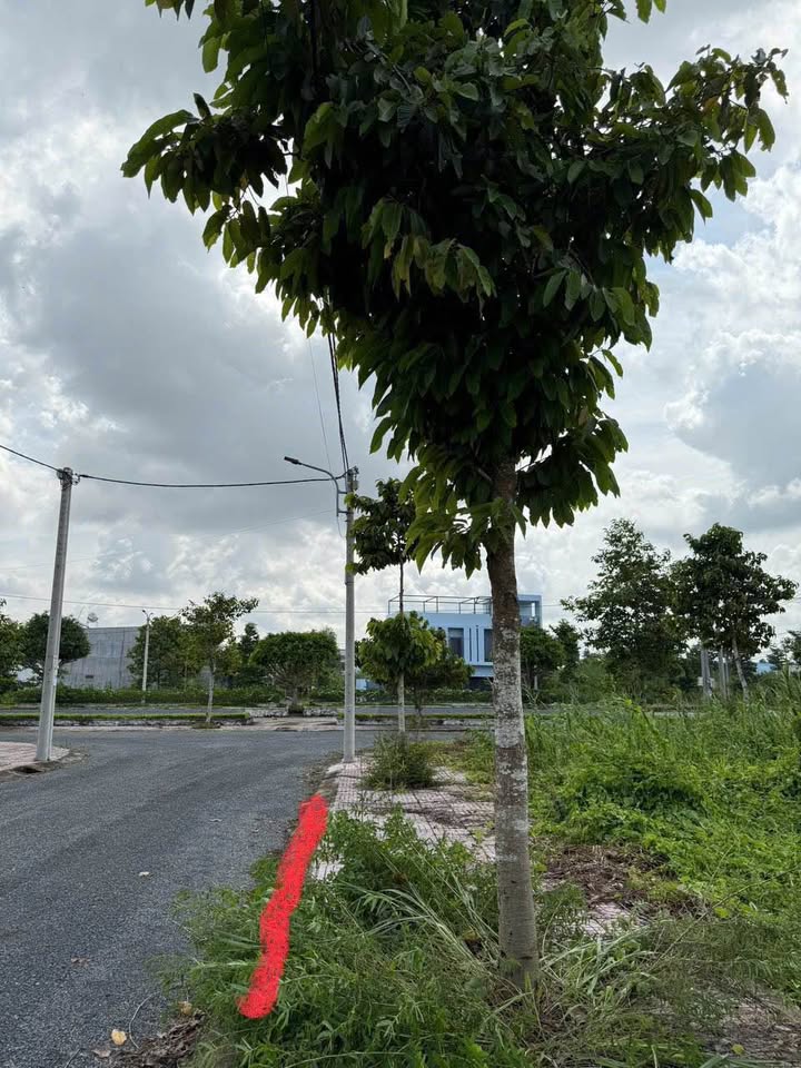 Đất nền thổ cư KDC Phường 9 Vĩnh Long 80m² giá 1.26 tỷ - Vị trí đắc địa gần trung tâm