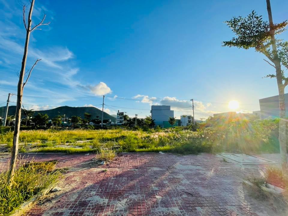 Đất mặt tiền Trần Văn Dũng, Quy Nhơn 100m² giá 4 tỷ - Sổ đỏ chính chủ!