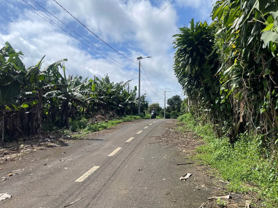 Đất nền Lộc An 158,7m² giá 739 triệu - Đầu tư sinh lời ngay!