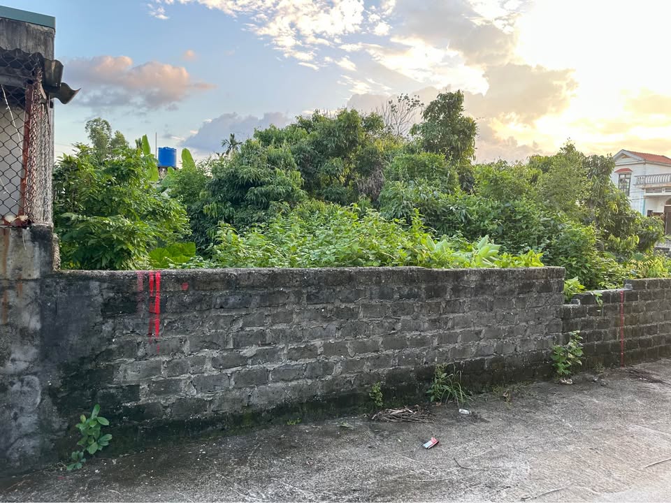 Đất nền Hồng Thái Đông, Đông Triều 100m² giá thỏa thuận - Cơ hội đầu tư tiềm năng!