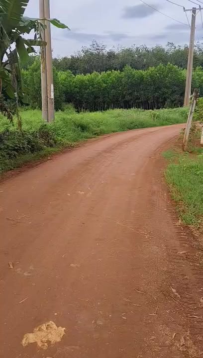 Đất nền chính chủ tại Tân Hội, Đức Hòa, Long An - Diện tích 1064m², giá 37.24 tỷ - Đầu tư sinh lời ngay!