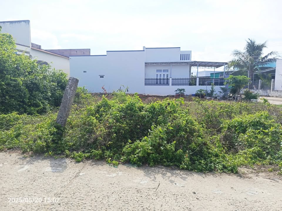 Đất thổ cư mặt tiền bê tông Thôn Kim Ngọc 98m² giá chỉ 5xx triệu - Cơ hội đầu tư tuyệt vời!