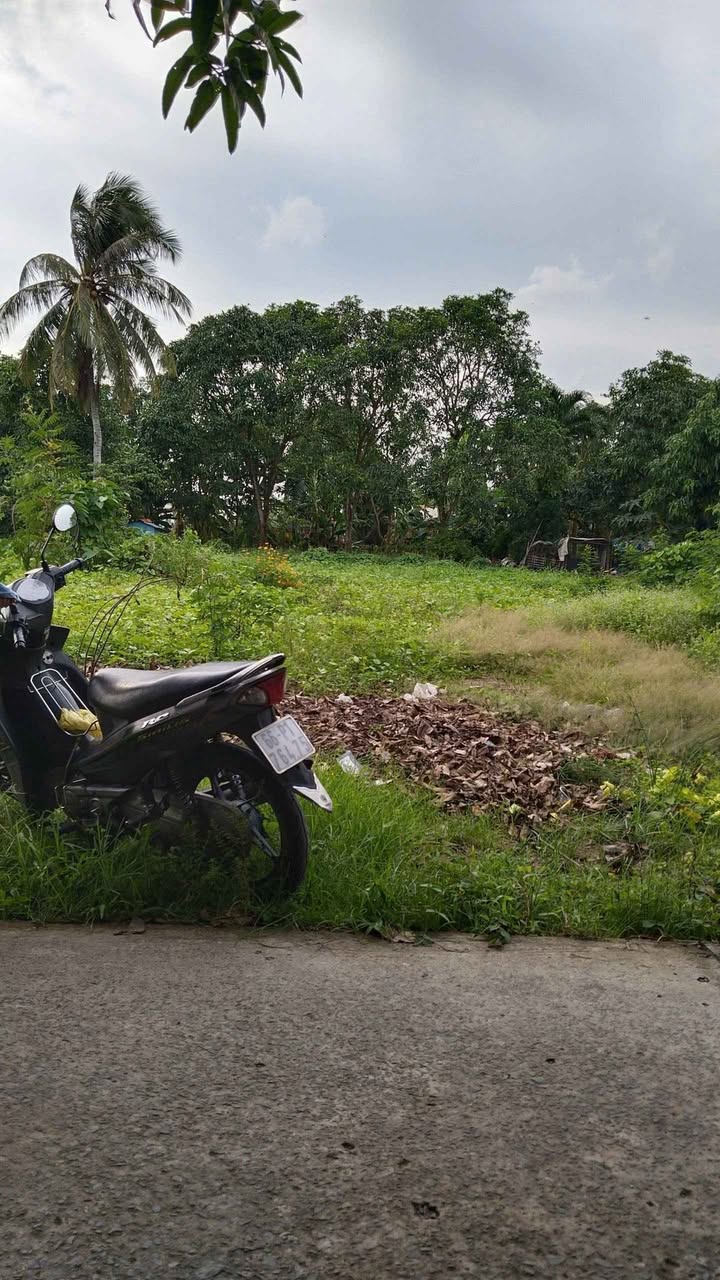 Đất nền Tân Thuận Tây, Cao Lãnh, Đồng Tháp 180m² - Sổ đỏ chính chủ, giá chỉ 720 triệu!