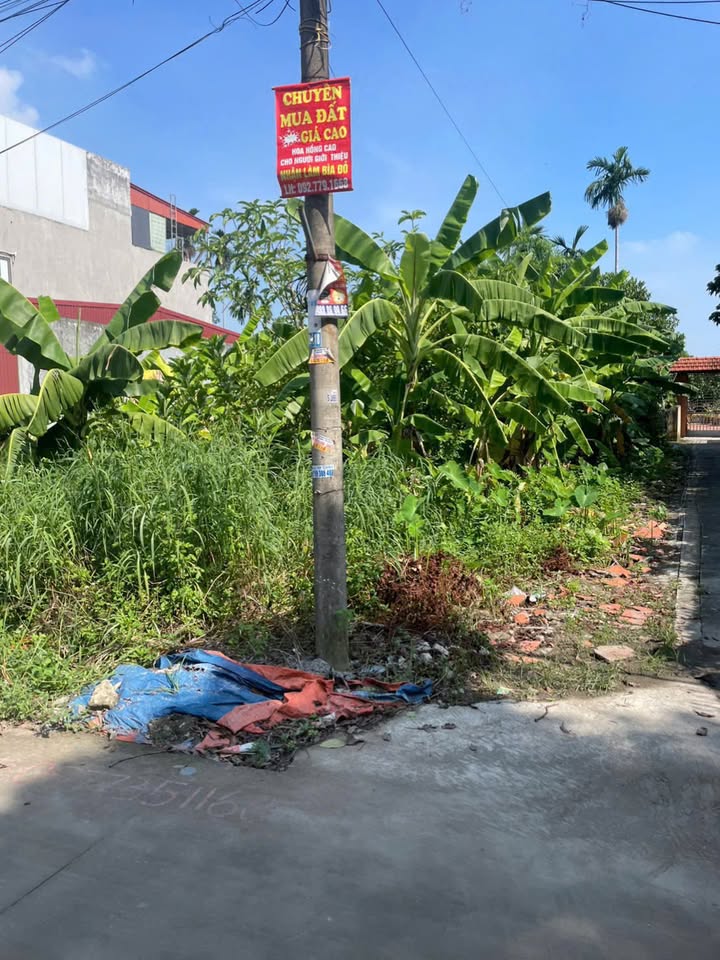 Đất nền lô góc đường Văn Cú, An Dương 125m² giá 3.2 tỷ - Tiềm năng đầu tư lớn!