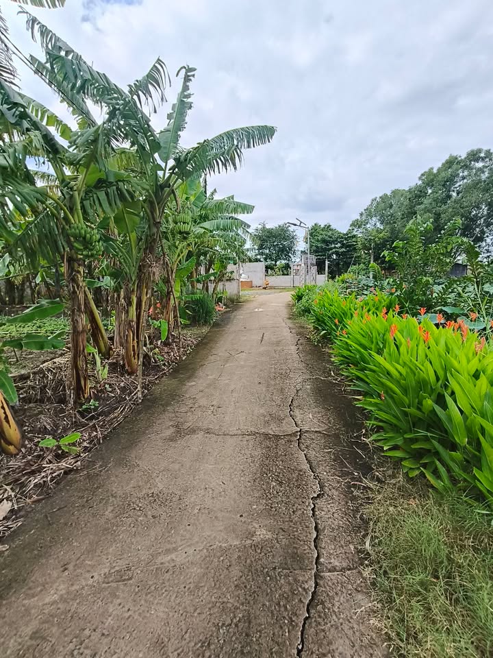 Đất nền Ấp 5, xã Phước Vân, 130m², giá 720 triệu - Sổ đỏ chính chủ!