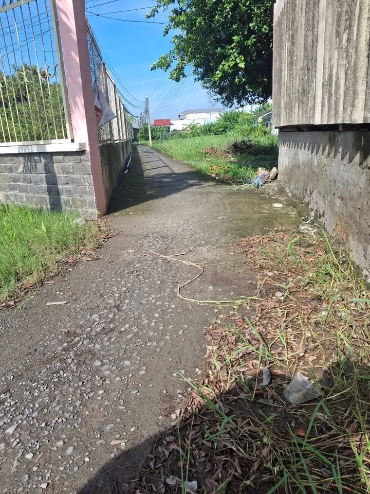 Đất thổ cư 273m² tại ấp 5 Nhị Thành, Thủ Thừa chỉ 750 triệu - Đầu tư lý tưởng!