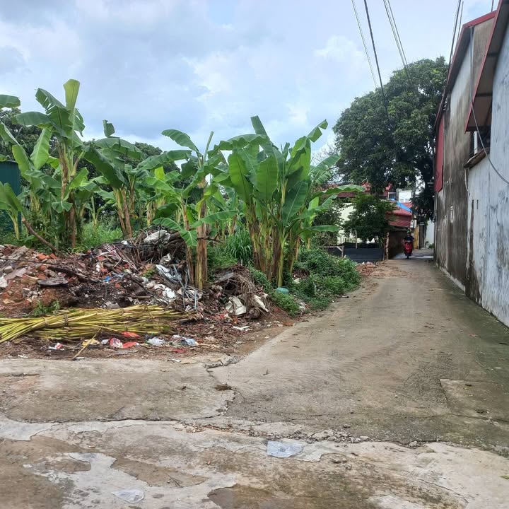 Đất nền phường Võ Cường - Bắc Ninh 101m² giá 3 tỷ - Cơ hội đầu tư tuyệt vời!