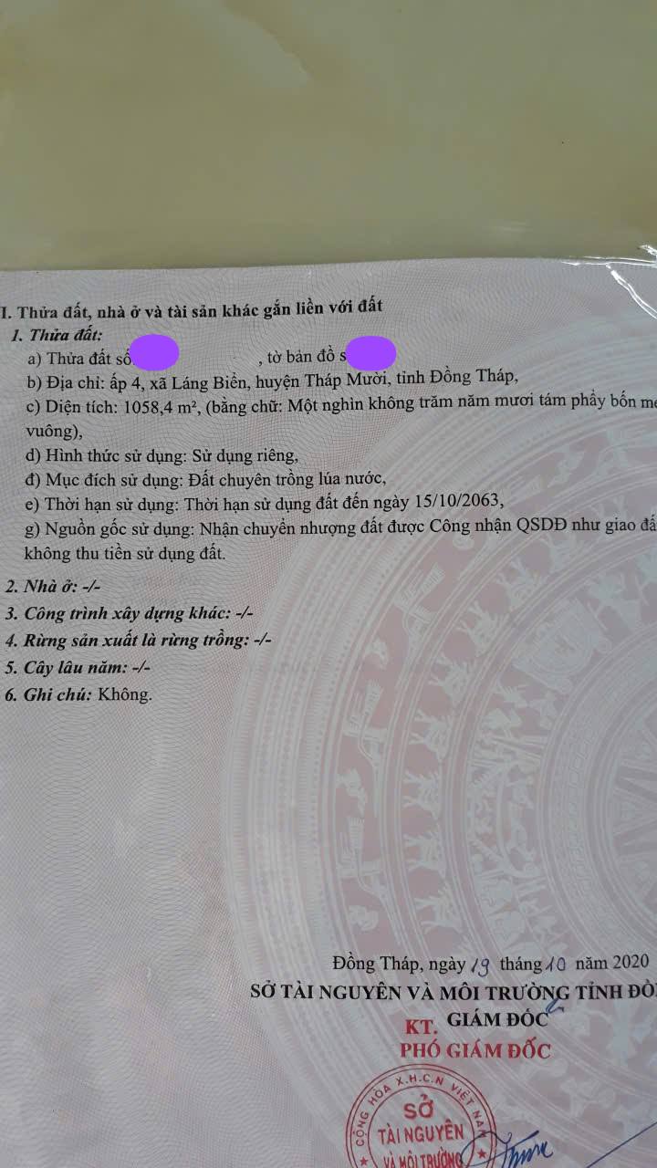 Đất nền Láng Biển, Tháp Mười 990m² giá 1.3 tỷ - Sổ hồng chính chủ!