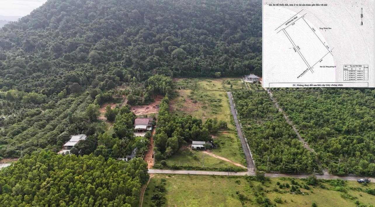 Đất nền Phú Quốc 12000m² giá 3 tỷ - Lô góc 2 mặt tiền đắc địa!