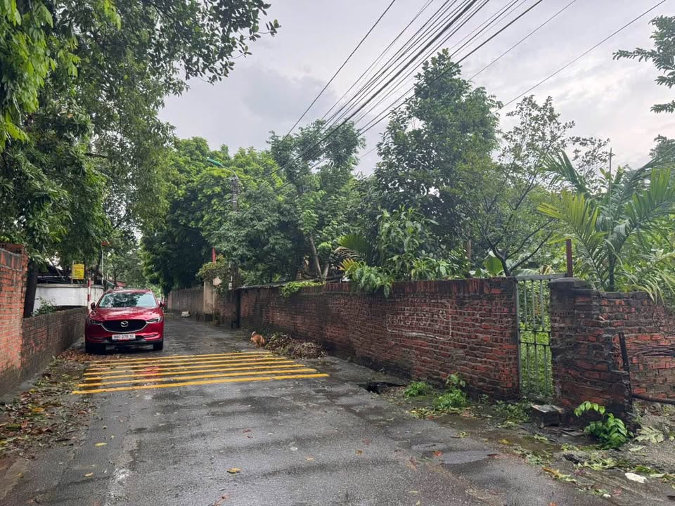 Đất nền Đồng Tâm, Vĩnh Yên 163m² giá chỉ 2 tỷ - Cơ hội đầu tư tuyệt vời!