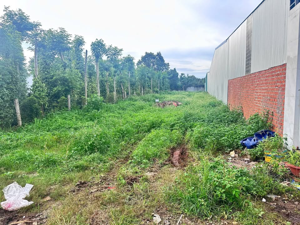 Đất góc 2 mặt tiền đường D3, phường Tân An, Buôn Ma Thuột 285m² - Cơ hội đầu tư sinh lời!