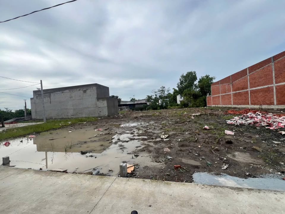 Đất thổ cư 165m² xã Mỹ Lộc, Long An - Giá chỉ 1.1 tỷ, bán gấp!